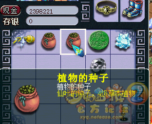植物果实直播