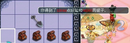 直播果实