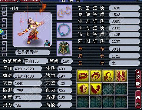 狂豹