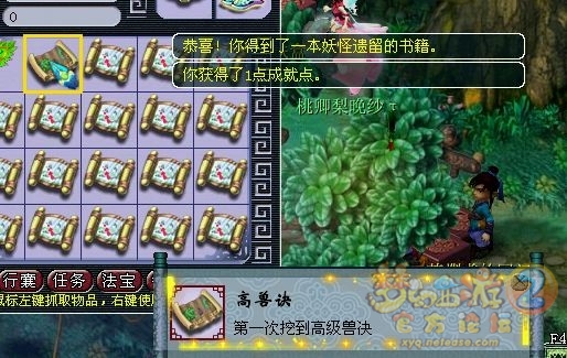 ֱ屦
