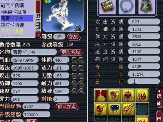 高端大气的萌宠
