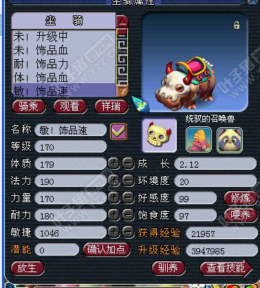 盘丝展