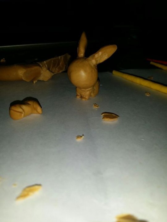 我家来了只可爱月兔