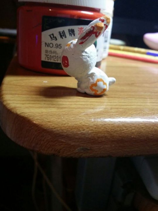 我家来了只可爱月兔