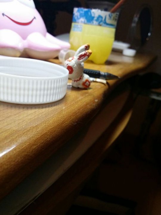 我家来了只可爱月兔