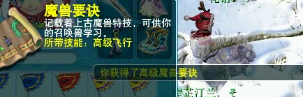 直播羽毛