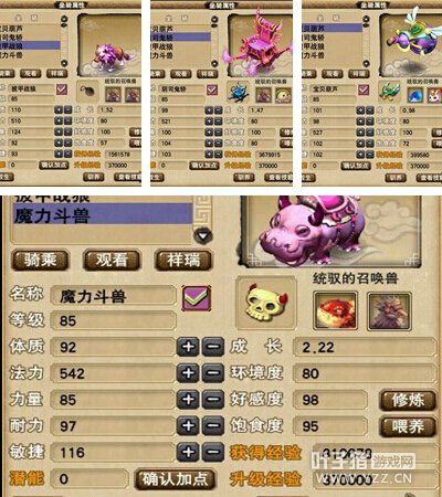 白富美全号展示