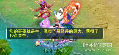 直播瑞兽进阶