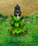 梦幻最新锦衣