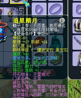 530069WZ