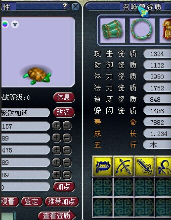 530069WZ