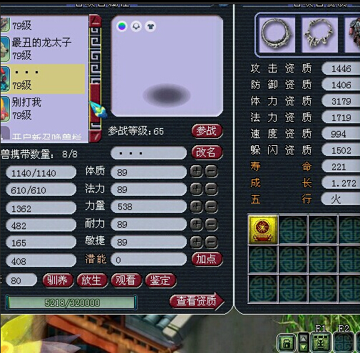 530069WZ