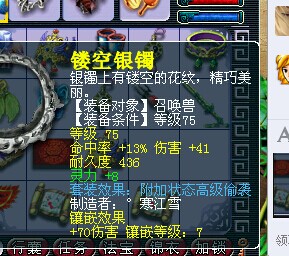 530069WZ