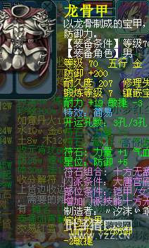 490069DT