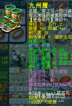490069DT