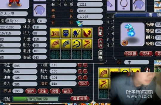 直播打个8技能狂豹