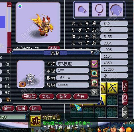 直播打书