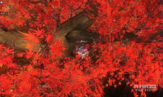 我给御龙当导游 小雪带你游览华容道